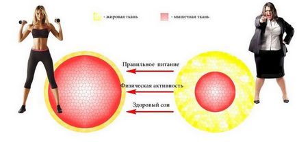 Simptome ale tulburărilor metabolice