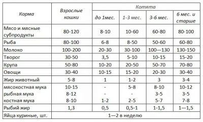 Скільки разів на день потрібно годувати кішку і кота