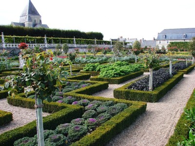 Specificitatea grădinii franceze pe acri, lângă casă