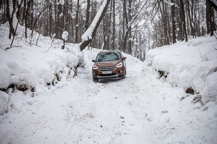 Країна, відкривай ворота! Тест-драйв оновленого смарт-кросовера ford kuga, журнал про автомобілі