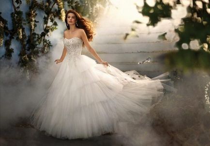 Esküvői ruhák a stílus egy hercegnő vágott lehetőségek