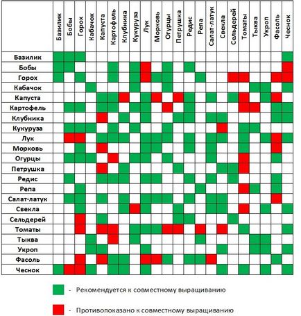 Схема овочевий клумби сусіди повинні бути правильні, овочі