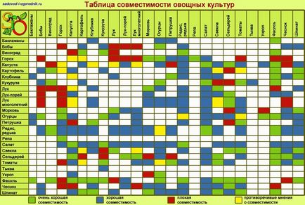 Схема овочевий клумби сусіди повинні бути правильні, овочі