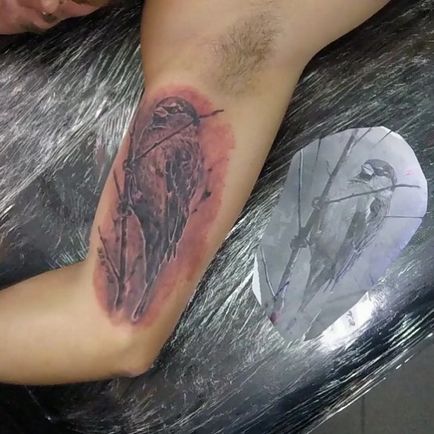 Tattoo érték veréb tetoválás, fotók, vázlatok