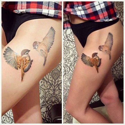 Tattoo érték veréb tetoválás, fotók, vázlatok