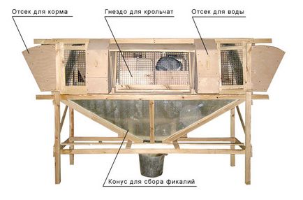 Технології вирощування кроликів в клітинах михайлова і без них