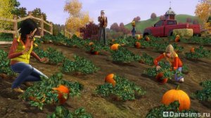 The sims 3 seasons »чому осінь - найкраща пора року