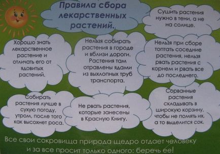 Трав'яний збір при панкреатиті показання і особливості прийому