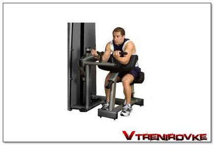 A szimulátor a bicepsz, tricepsz és a hip - flexiós (tricepsz) A szimulátor a bicepsz, tricepsz és a hip - hajlítása