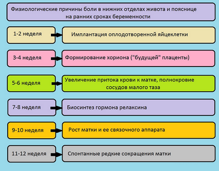 Húzza a derék terhesség korai - a lehetséges okokat, megelőzésére és kezelésére