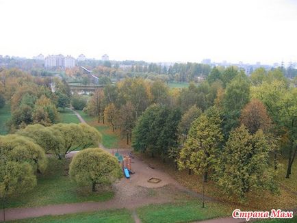 Piscină pe stradă (plimbări în St. Petersburg) - mama țării