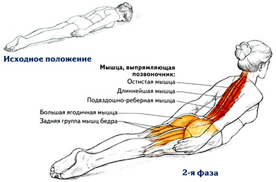 Exerciții pentru postură - Centrul de kinetoterapie din Kazan