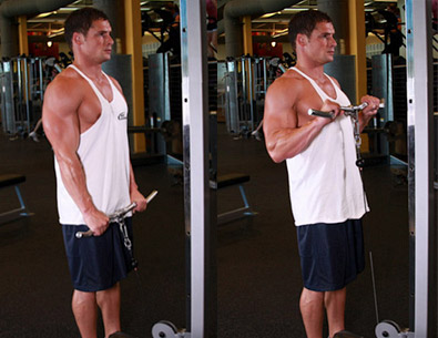 Exerciții pe biceps în sala de gimnastică