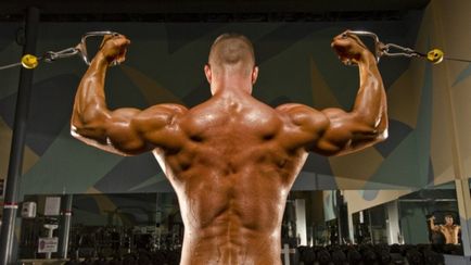 Exerciții pe biceps în sala de gimnastică
