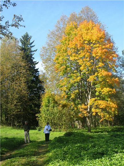 Manor znamenskoe-raek