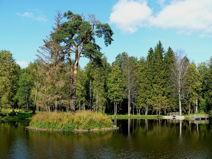 Manor znamenskoe-raek