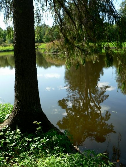 Manor znamenskoe-raek