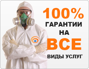 Послуги сес для знищення клопів, санепідемстанція від клопів