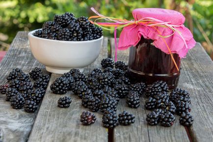 Blackberry Jam 9 rețete cum să preparați un gem delicios de mure