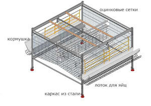 Відео виготовлення клітин для курей несучок за кресленнями своїми руками
