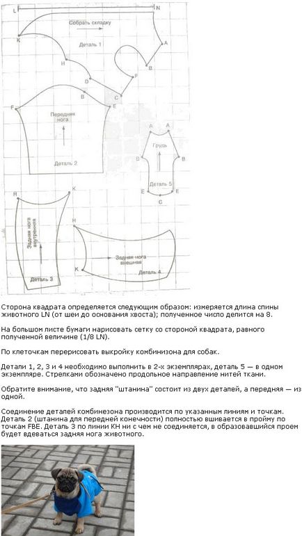 Modele de haine pentru câini de pugs pe mâinile proprii - modele de haine pentru câini, coase vkontakte