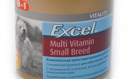 Vitamine pentru chihuahua care dau pentru catelusii si cainii adulti