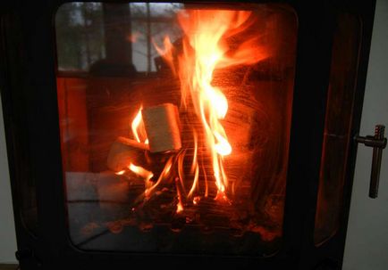 Vom afla că este mai profitabil să încălziți aragazul cu brichete de combustibil sau lemn de foc, blog-ul cu cele mai recente știri ✓