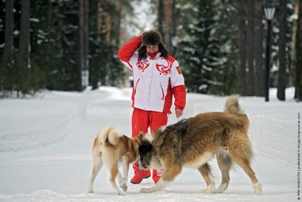 Володимир Путін і його собаки