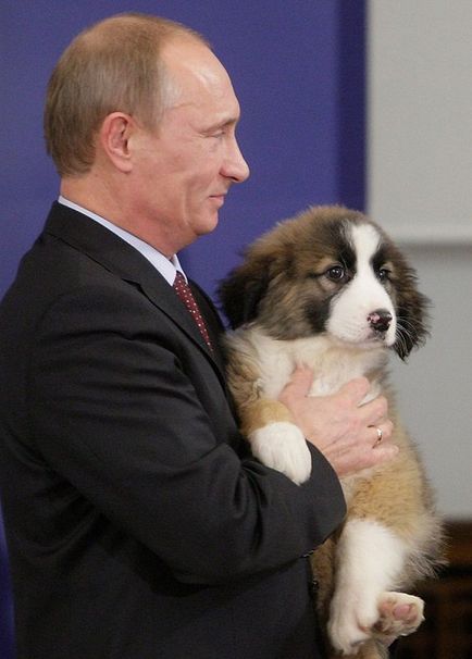 Володимир Путін і його собаки