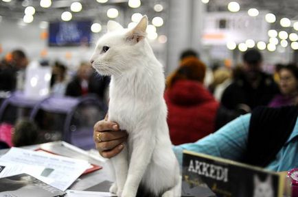 Moszkvában Crocus Expo tartott jubileumi fesztivál ekspokot