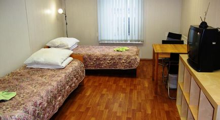 Hostel pisica matroskinn pe bulevardul Chernyshevsky din orașul St. Petersburg