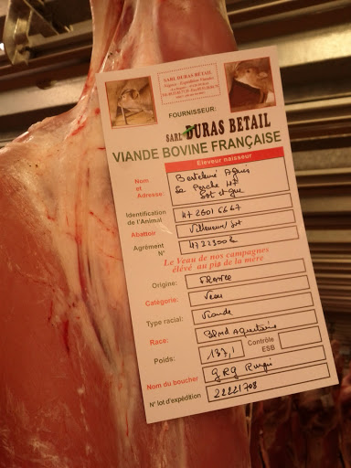 Este carnea unei carne de vită cu vițel de vițel, vgil