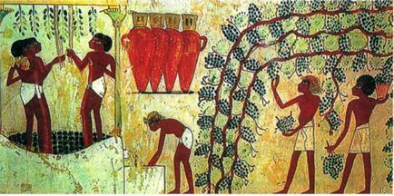 Agricultura, animale și cultura tehnică a Egiptului antic