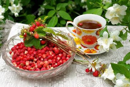 Eper tea hasznos tulajdonságok és ellenjavallatok (kap friss levelek) Eper tea hasznos tulajdonságok és ellenjavallatok