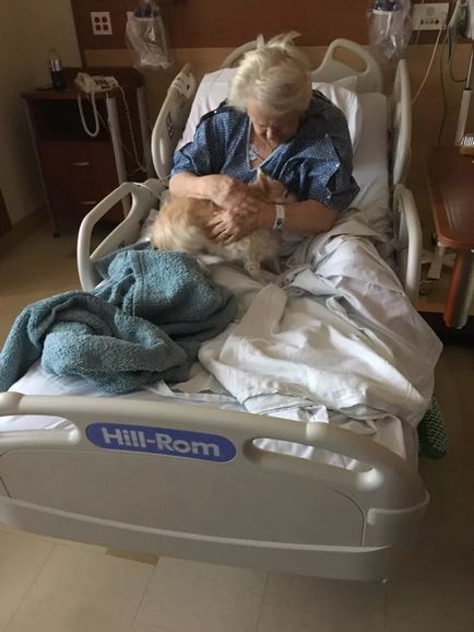 Мешканка сша пронесла в лікарню собаку під виглядом немовляти, щоб порадувати свою хвору