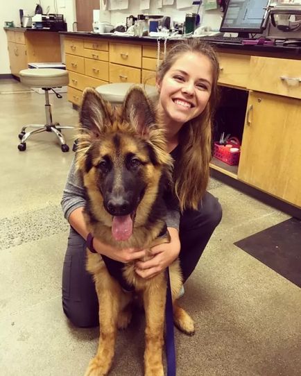 Un rezident al Statelor Unite a purtat un câine în spital sub forma unui copil pentru a-și satisface pacientul