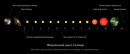 Universul viu despre univers și despre soarta stelelor