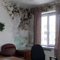 Izolarea fonică a pereților în apartament - cum să se ocupe de zgomot