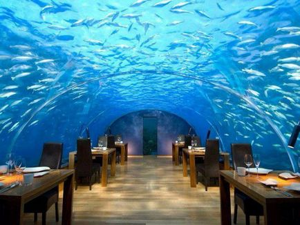 10 cele mai bune hoteluri din lumea lumii subacvatice
