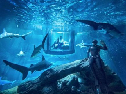 10 cele mai bune hoteluri din lumea lumii subacvatice