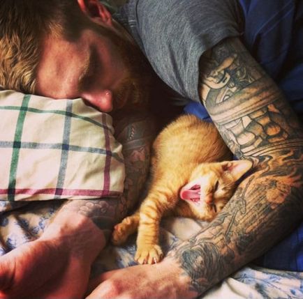 15 сміховинних фотографій, які розкажуть вам все про життя з котиками