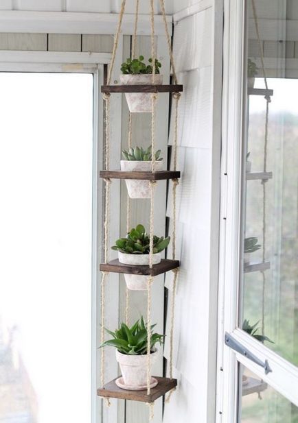 20 eredeti ötleteket, hogyan kell díszíteni a házat segítségével szobanövények
