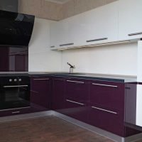 75 Cele mai bune combinații de culori pentru bucătăria purpurie