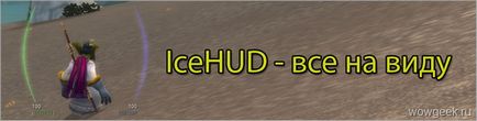 Addon icehud toate în vedere