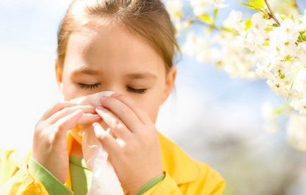 Simptomele rinitei alergice, tratamentul și prevenirea