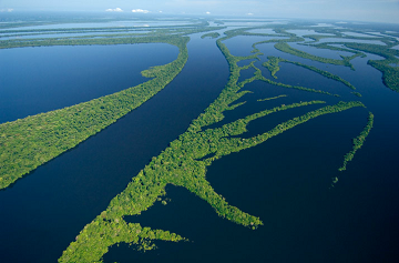 Амазонка найбільша і полнодовная річка в світі