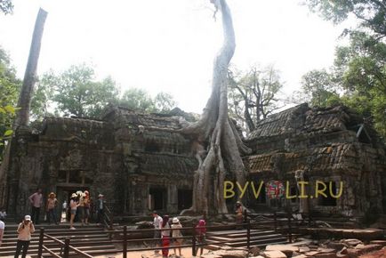 Angkor, Cambodgia, fotografiile lui Angkor, principalele temple, cum se ajunge acolo