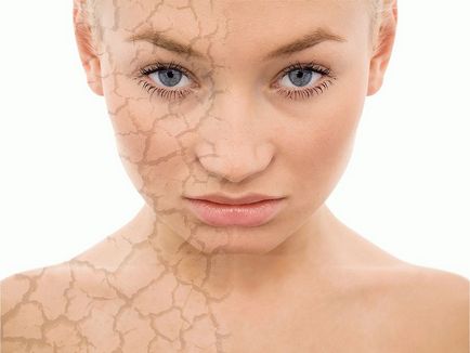 Mască anti-îmbătrânire magnetică pentru față