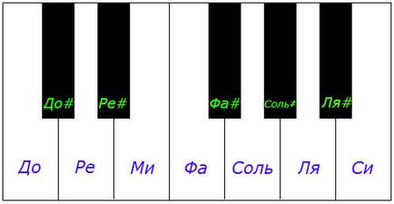 Elementele de bază ale muzicii