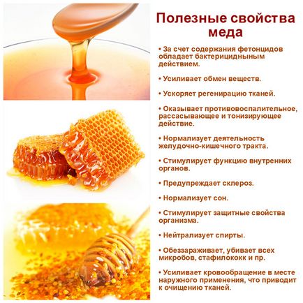 Борсуковий жир з медом застосування і рецепти